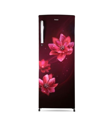 HAIER REF HRD-2562BIS (235 LTR)